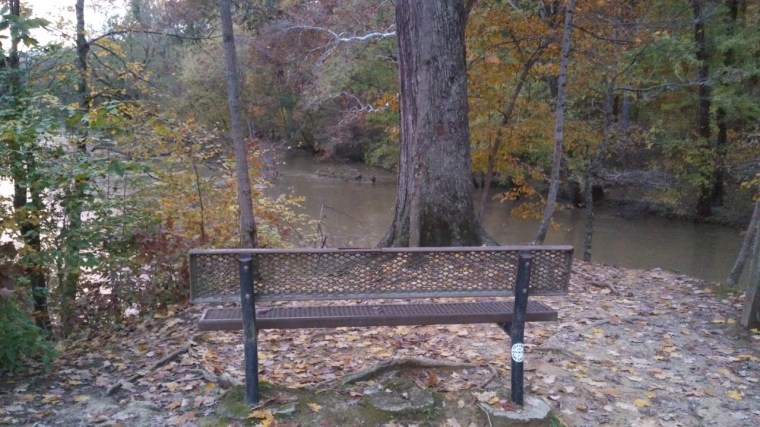 Lonely Bench